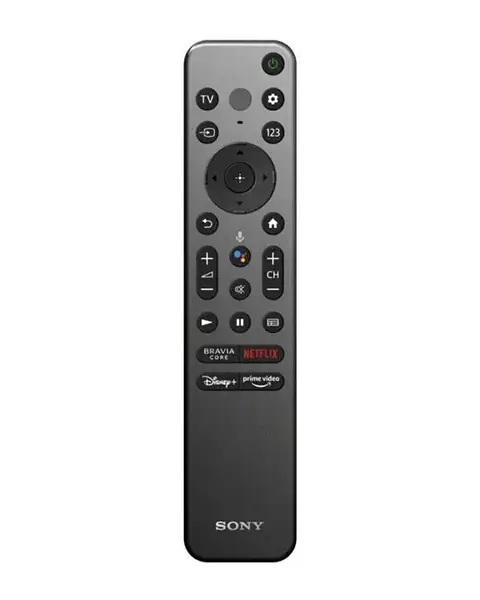  Sony Smart Voice Remote Control