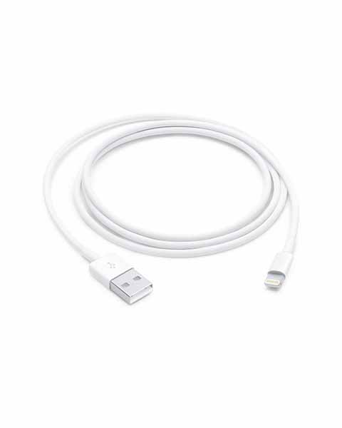  iPhone Lightning to USB (1 M)