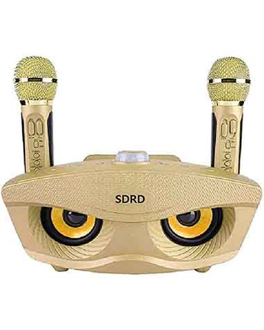 SDRD SD-306 Wireless Bluetooth Speaker with 2 Microphones
