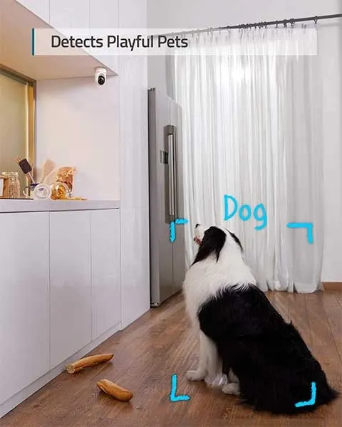 Eufy 2K Indoor Cam Pan and Tilt Motion Alerts