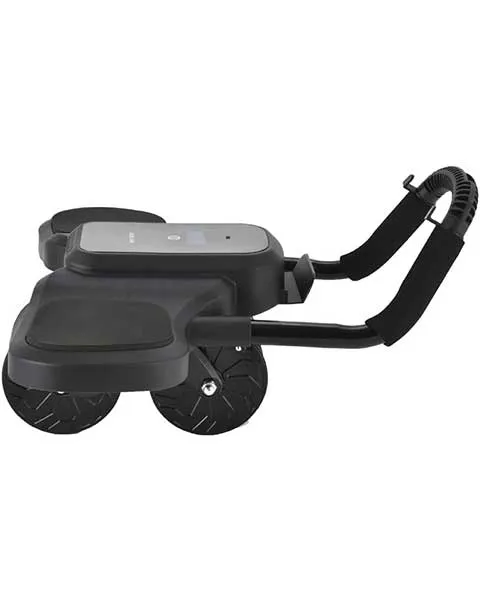 Green Lion ABS Exercise Roller with Digital Display, Automatic Rebound
