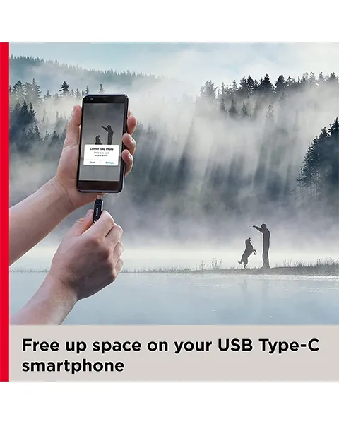 SanDisk 256GB Ultra Dual Drive Go USB Type-C Flash Drive