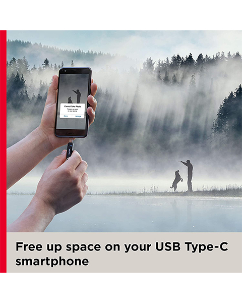 SanDisk 32GB Ultra Dual Drive Go USB Type-C Flash Drive