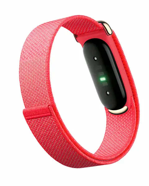Google Fitbit Air Screenless Fitness and Health Tracking-Berry
